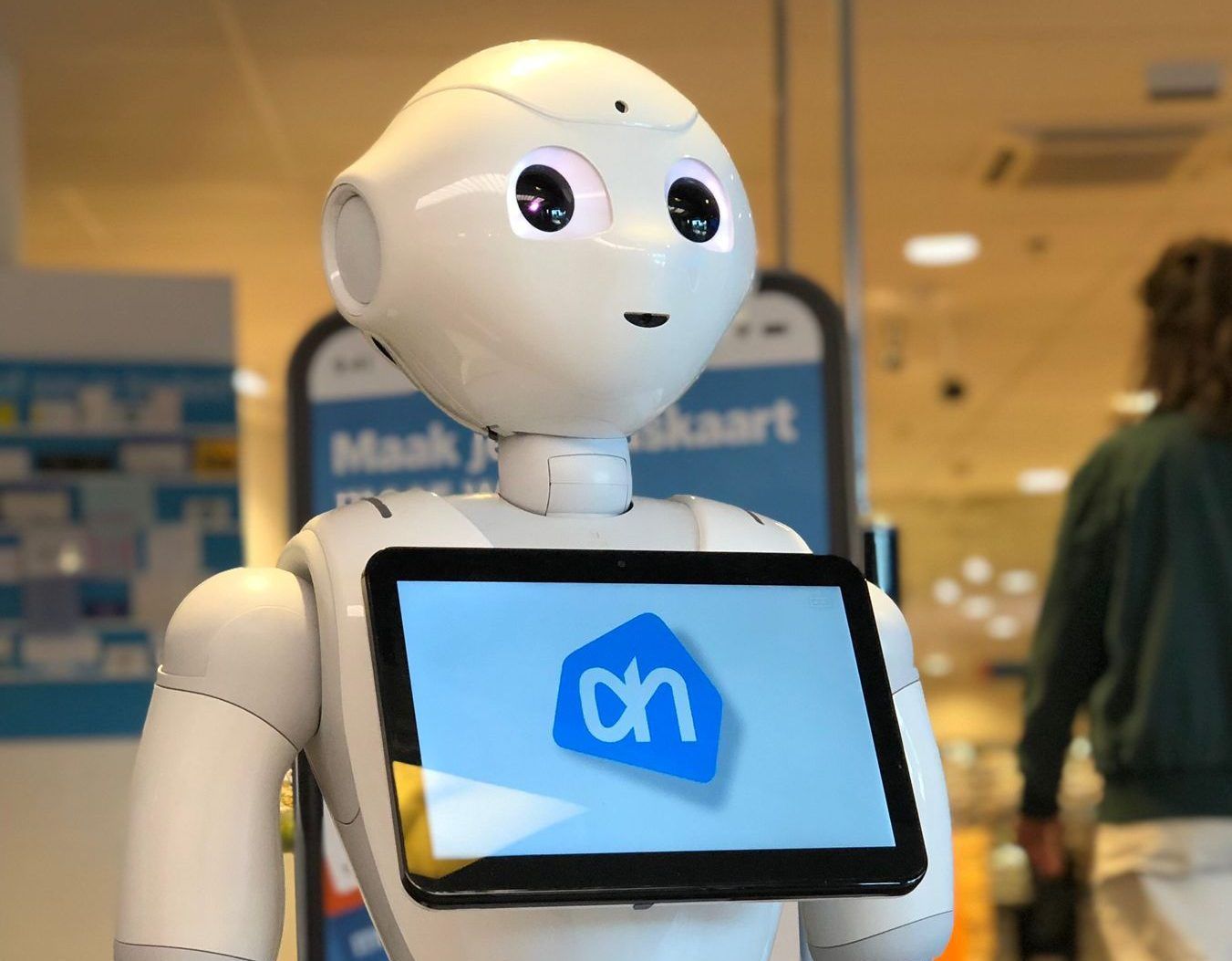 Interactive Service Robot